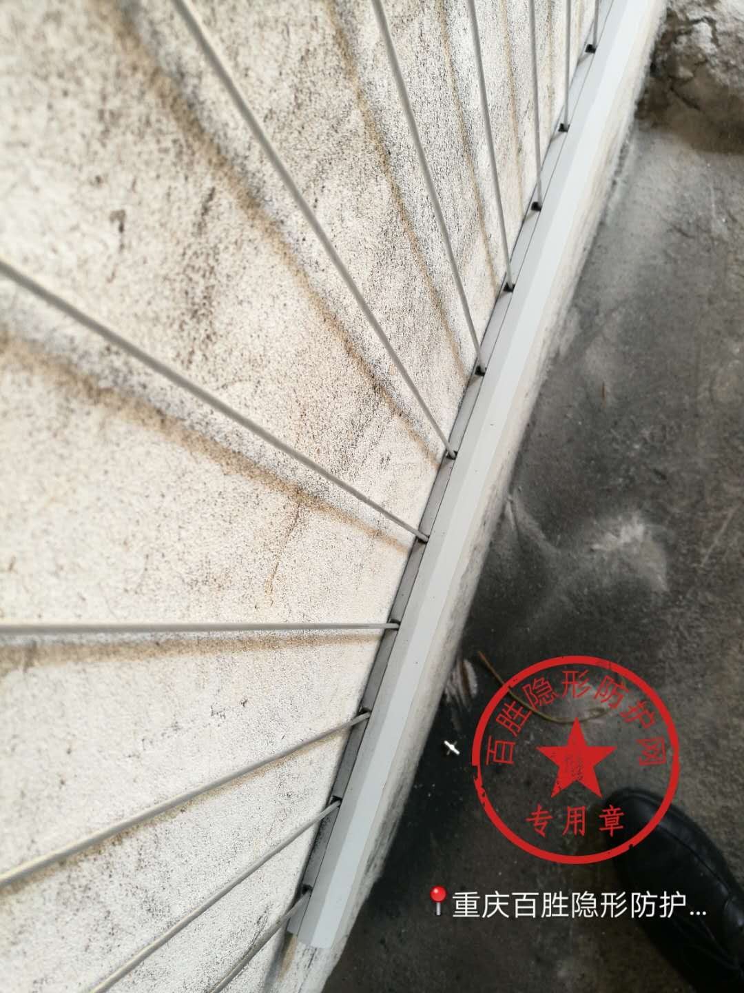 產品名稱